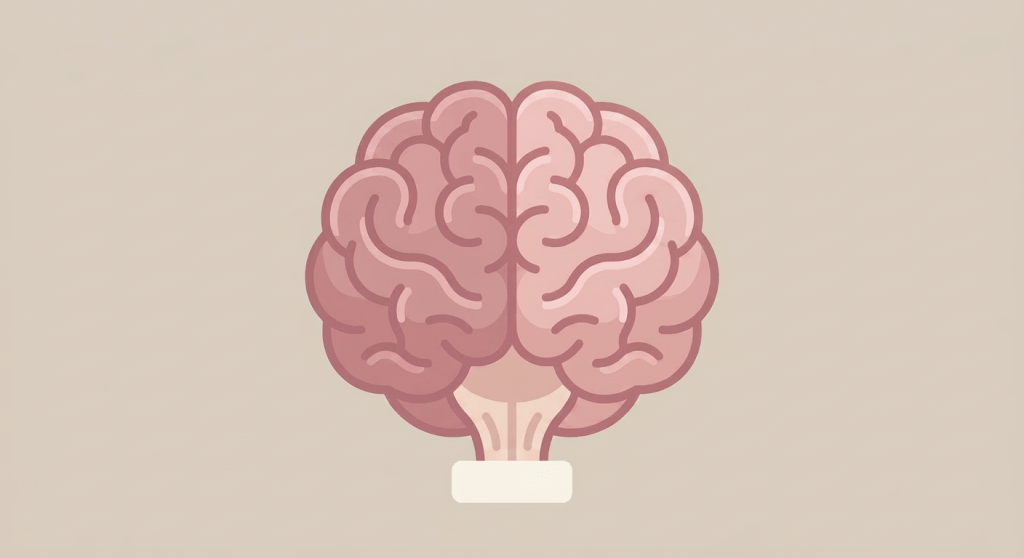 Stylized human brain illustration showing left and right hemispheres in different shades